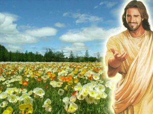 Image of Jesus smiling