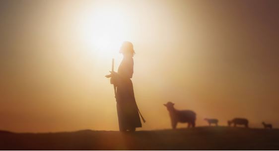 Jesus Shepherd