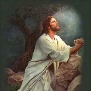 Pictures of Jesus Christ Praying Hands